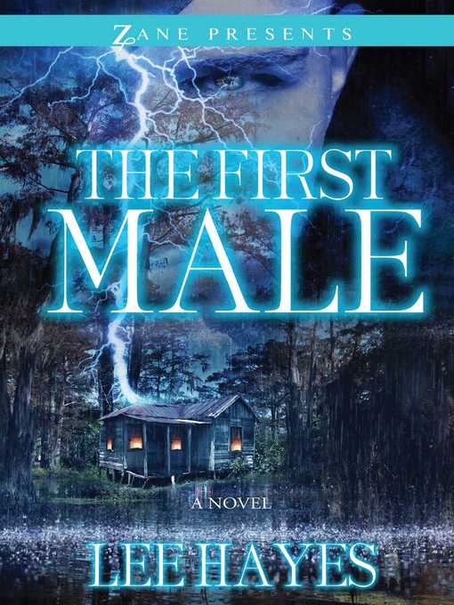 Cover image for The First Male